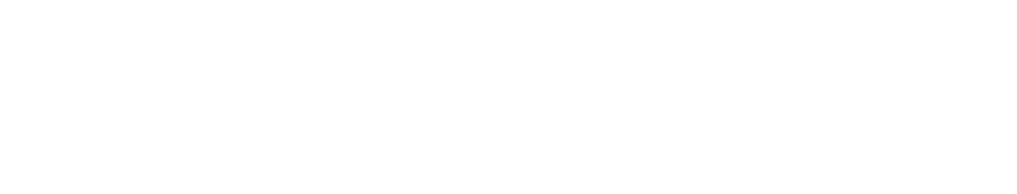 UDP-2ndLogo-White-4-1 UDP-2ndLogo-White-4-1
